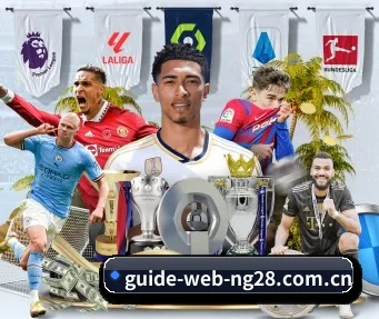 m.guide-web-ng28.com.cn APP